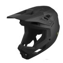 Alpina PIKES MIPS Fullface