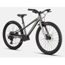 Specialized RIPROCK 24" Gloss Smoke / Fjord Metallic
