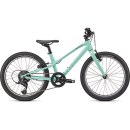 Specialized JETT 20 INT GLOSS OASIS / FOREST GREEN